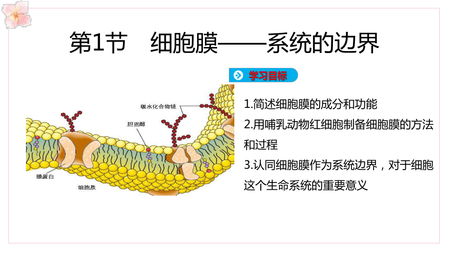 人教版高中生物必修一课件：细胞膜-系统的边界.pptx_第3页