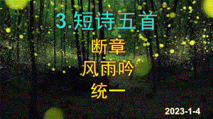 《断章》《风雨吟》《统一》课件.pptx