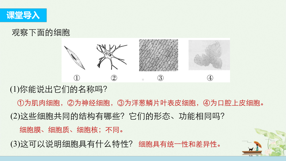 专题12细胞的多样性和统一性课件.pptx_第3页