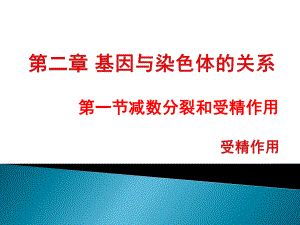 人教版新教材《受精作用》完美课件1.pptx