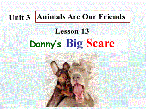 冀教版八年级英语下册unit3《Lesson13 Dannys Big Scare 》课件 (共28.ppt-(纯ppt课件,无音视频素材)