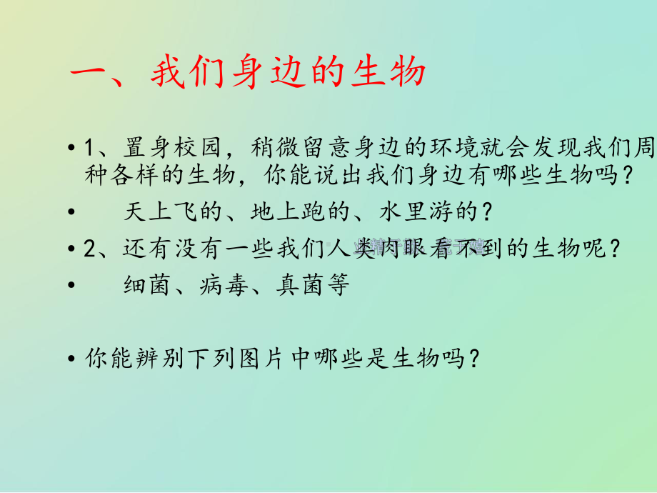 J济南版初一生物第一单元第一章第一节生物的基本特征课件.pptx_第2页