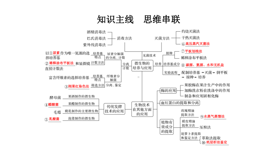 2020届 二轮复习生物技术实践 课件 47 张(全国通用).ppt_第2页