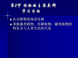 222植物的主要类群课件6(生物北师大版八年级下册).ppt