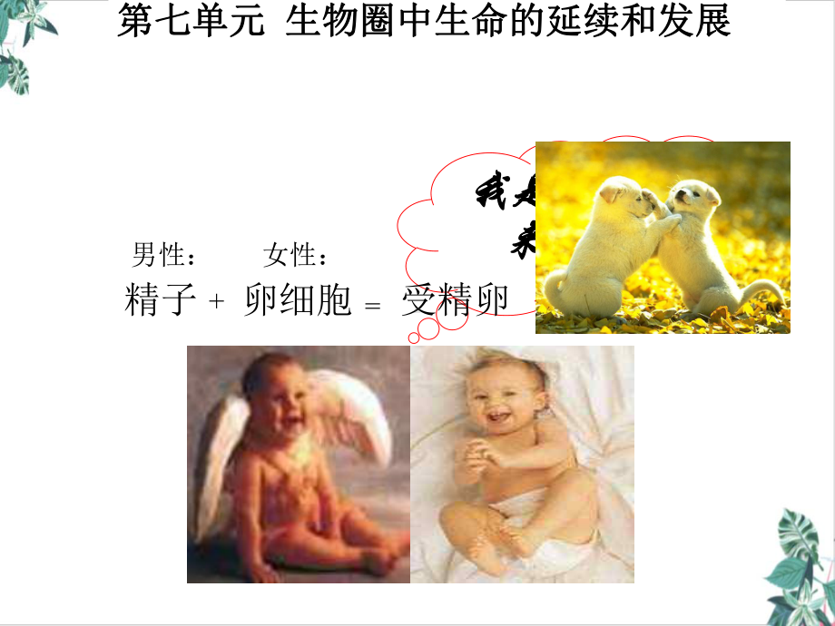 人教版植物的生殖完整版课件.ppt_第2页