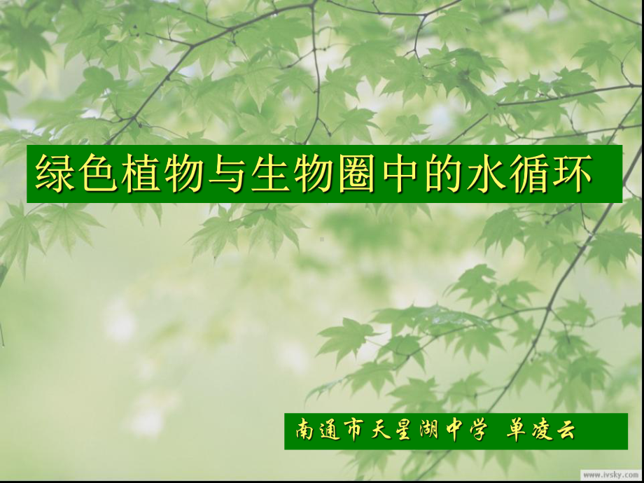 181 绿色生物与生物圈中的水循环课件 (苏科版八年级上) .ppt_第3页