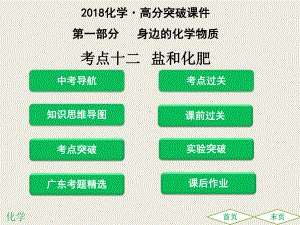 2020年初中化学课件—12考点十二 盐和化肥.ppt