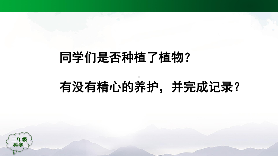 二年级上册科学-谁的植物长得好人教版标准课件.pptx_第2页