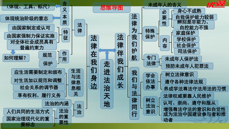 人教版道德与法治七年级下册 第四单元 走进法治天地 复习课件.pptx_第2页