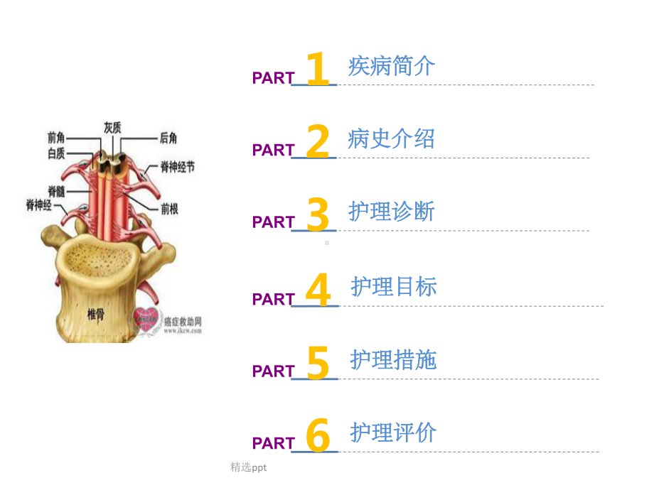 《脊髓炎护理查房》课件.ppt_第2页