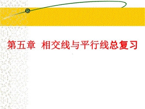 人教版七年级数学下册《相交线与平行线》总复习演讲教学课件.pptx