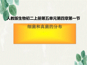 八年级生物上册541细菌和真菌的分布课件2新版新人教版.ppt