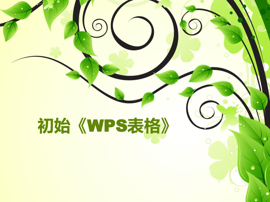 信息技术WPS教学第一课初始WPS表格课件.pptx_第1页