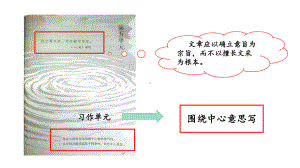 六年级上册语文夏天里的成长第一课时人教部编版课件.ppt