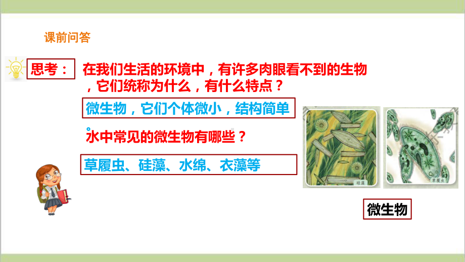 (新教材)粤教版五年级下册科学 211 发面的学问课件.pptx_第2页