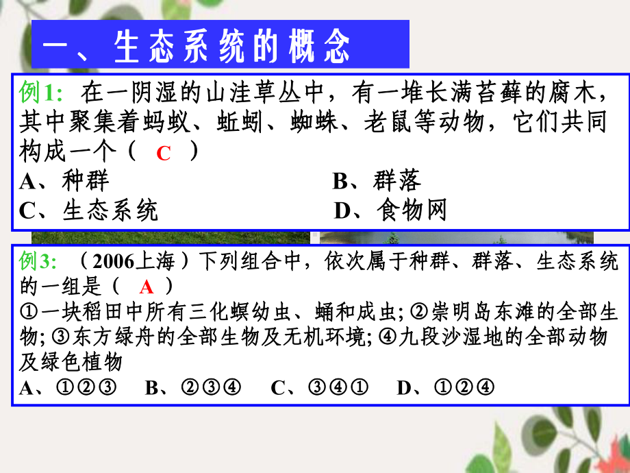 人教版高中生物必修三第5章第1节 生态系统的结构课件.ppt_第3页