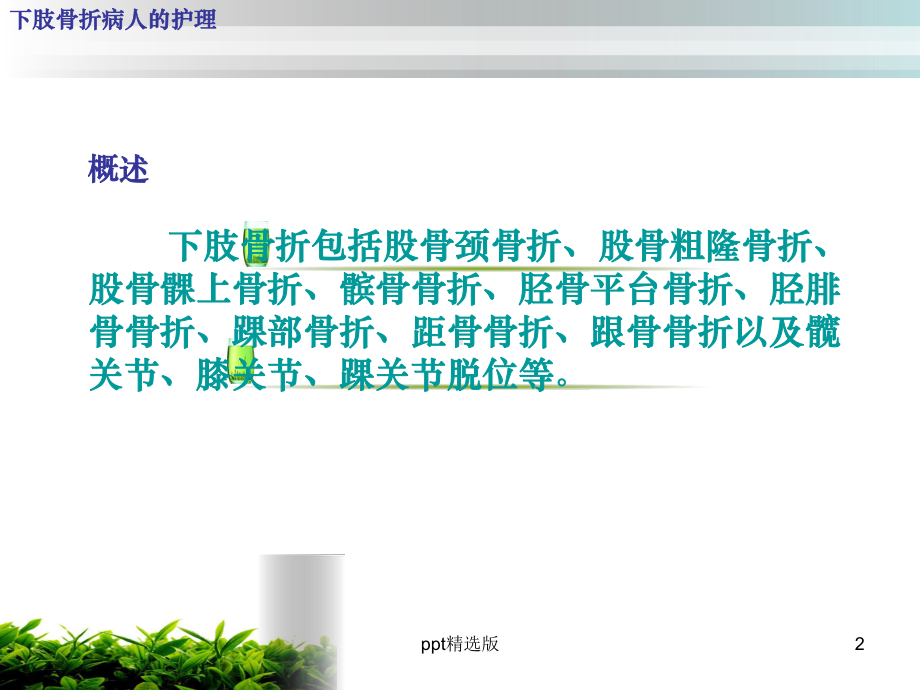 下肢骨折病人的护理课件.ppt_第2页