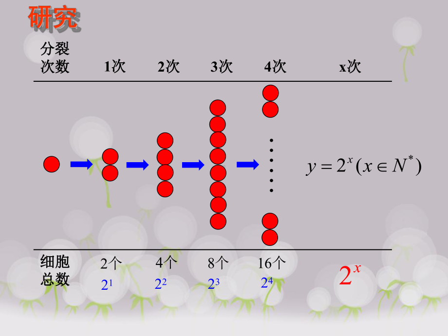 212指数函数及其性质经典课件(优秀经典公开课比赛课件).ppt_第3页