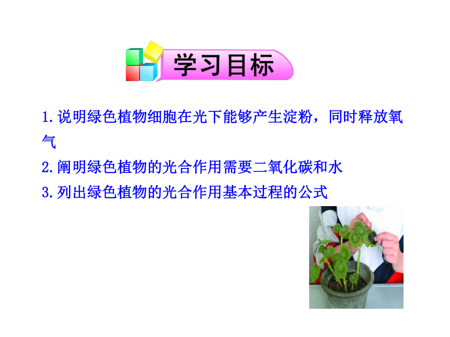 63 植物光合作用的实质课件 (苏教版七年级上).ppt_第3页