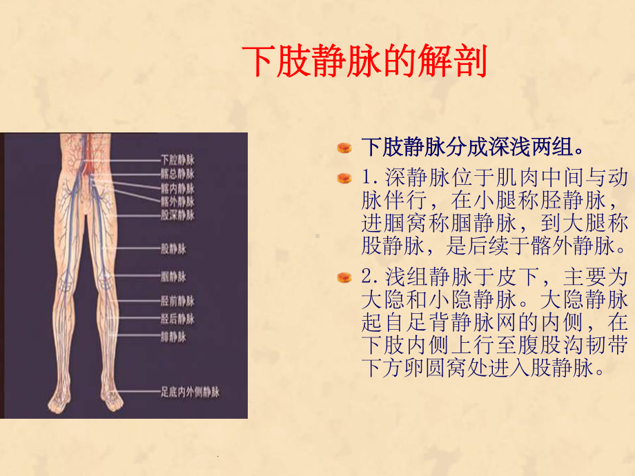 下肢静脉血栓的相和关知识护理课件.ppt_第2页