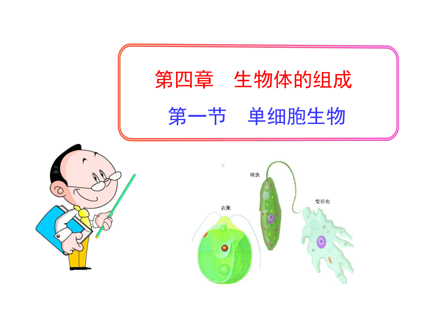 41 单细胞生物课件 (苏教版七年级上).ppt_第1页