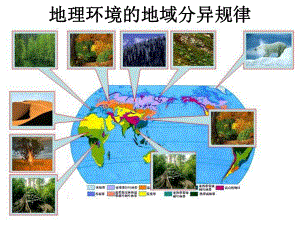 地域分异规律课件.ppt