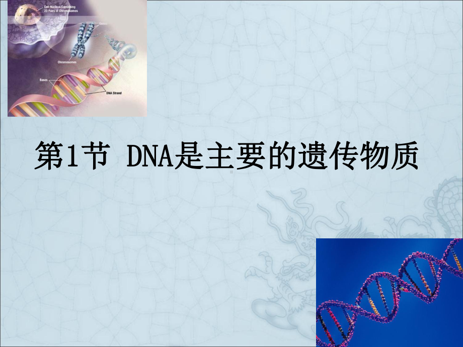 人教版高中生物《DNA是主要的遗传物质》课件1.ppt_第2页