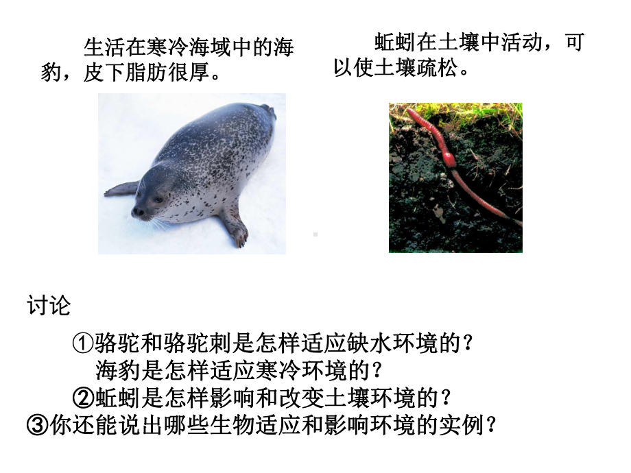 人教版生物七上生物与环境的关系(第二课时)课件.pptx_第3页