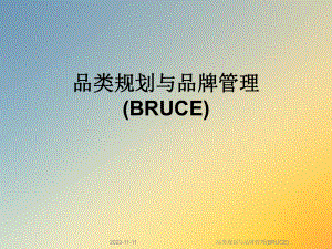 品类规划与品牌管理(BRUCE)课件.ppt