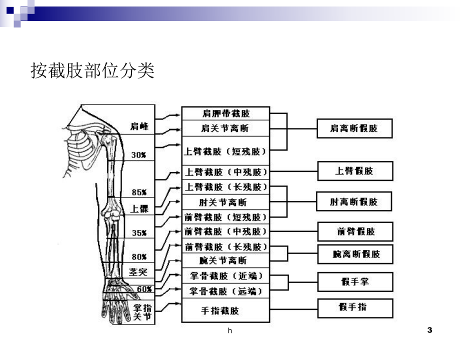 假肢技术第三节上肢假肢课件.ppt_第3页