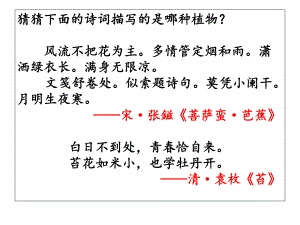 （新教材）《芣苢》《诗经·周南》课件—统编版必修上册语文课件.ppt