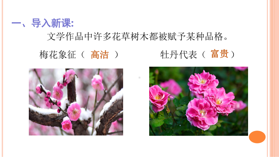 六年级上册语文《丁香结》课件.ppt_第1页