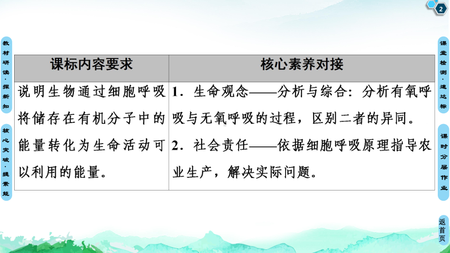 （新教材）无氧呼吸、细胞呼吸原理的应用课件 （新教材）人教版高中生物必修第一册.ppt_第2页