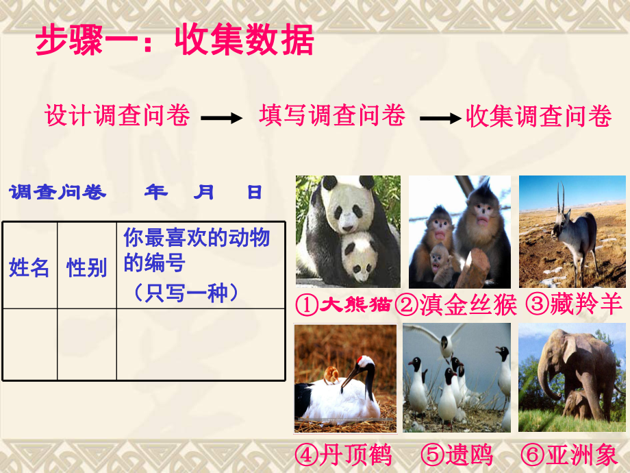 1 10 数据的收集课件(沪科版 七年级上).ppt_第3页