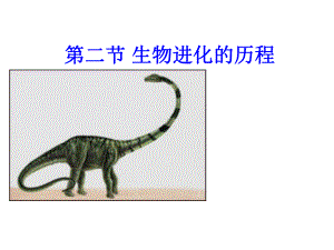 222 生物进化的历程课件 (苏科版八年级下) .ppt