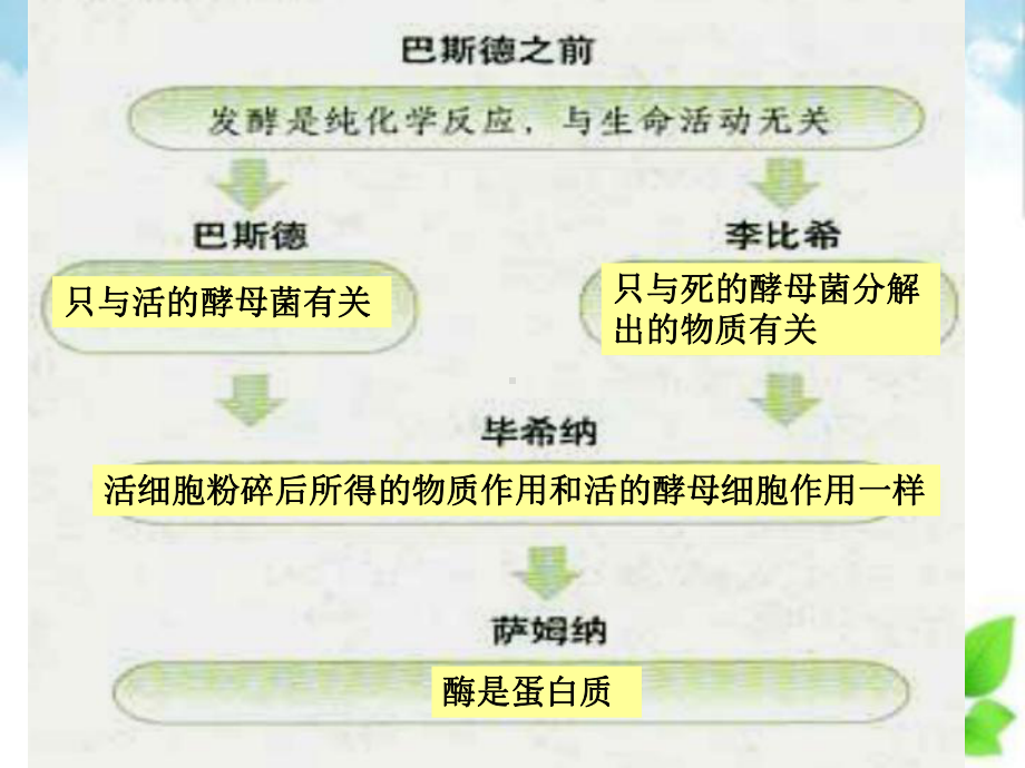 人教版高中生物必修一第5章第1节降低化学反应活化能的酶12酶的特性 课件.ppt_第2页