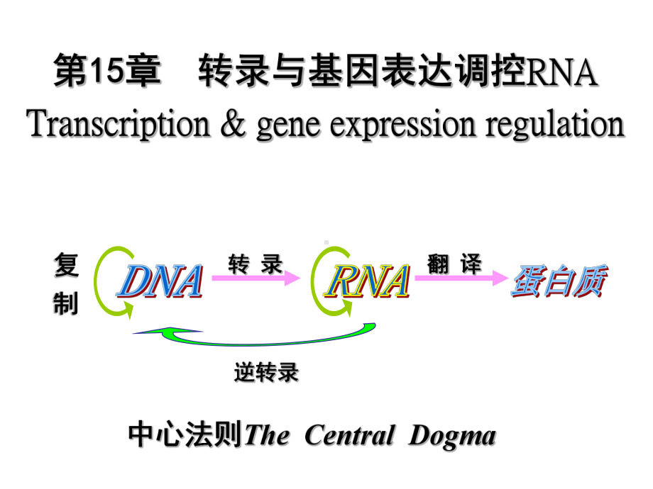 人大附中生物竞赛辅导 生物化学15转录与基因表达调控课件.ppt_第2页