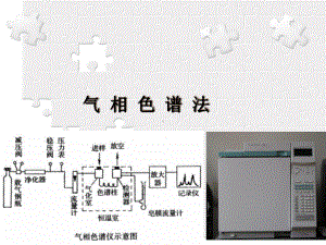 化合物表征技术 气相色谱法课件.ppt