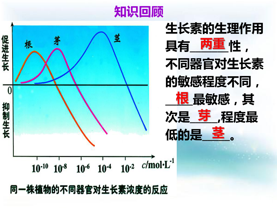 33其他植物激素的作用课件.ppt_第2页