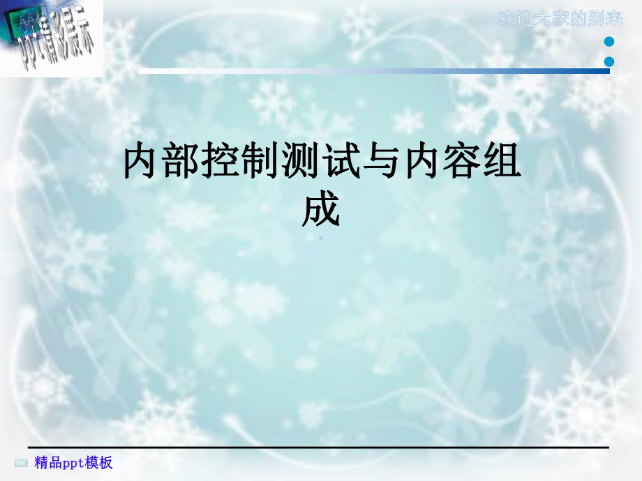 内部控制测试与内容组成课件.ppt_第1页