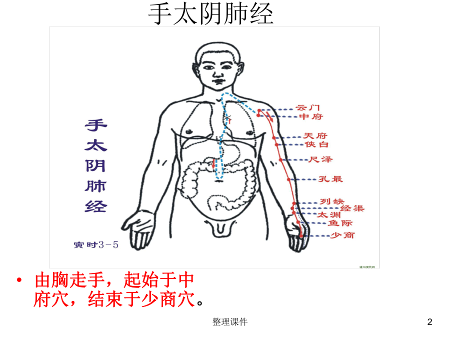 人体十二条经络[高清]8课件.ppt_第2页