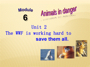 Module 6 Unit 2 The WWF is working hard to save them all倍速课件 (新版)外研版八年级上.ppt(课件中不含音视频素材)