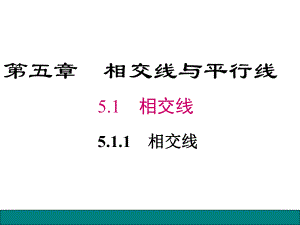 人教版七年级数学下册第五章相交线与平行线511 相交线课件.ppt