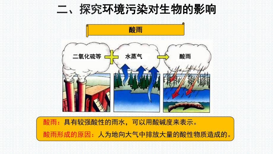 人教版七年级下册生物72《探究环境污染对生物的影响》课件.pptx_第3页