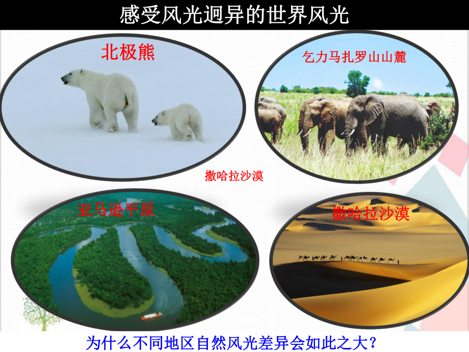 人教版风光迥异课件.ppt_第2页