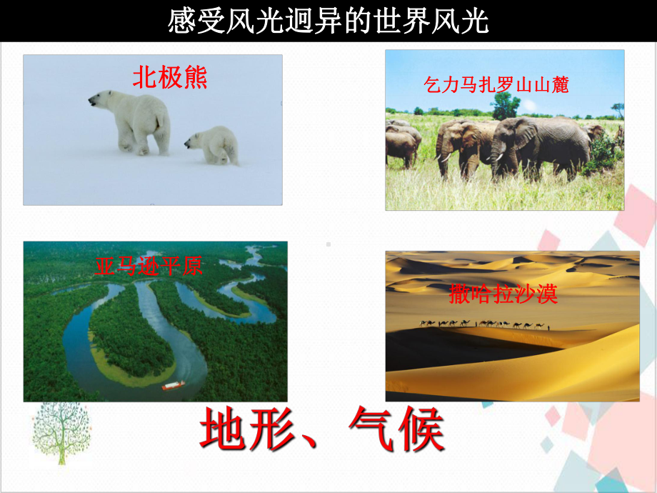 人教版风光迥异课件.ppt_第3页