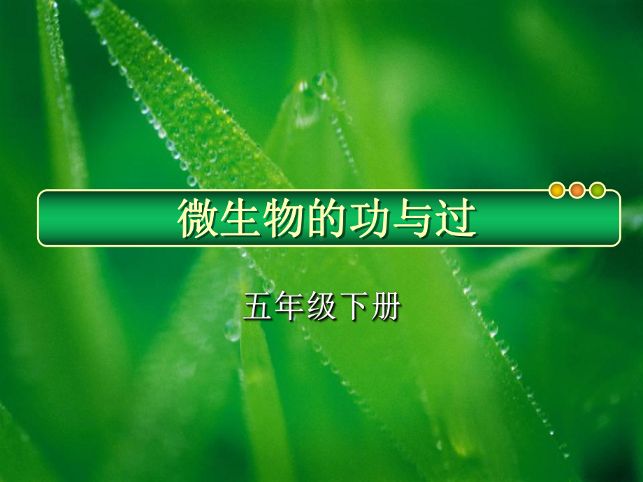 《微生物的功与过》-优秀课件下载.pptx_第1页