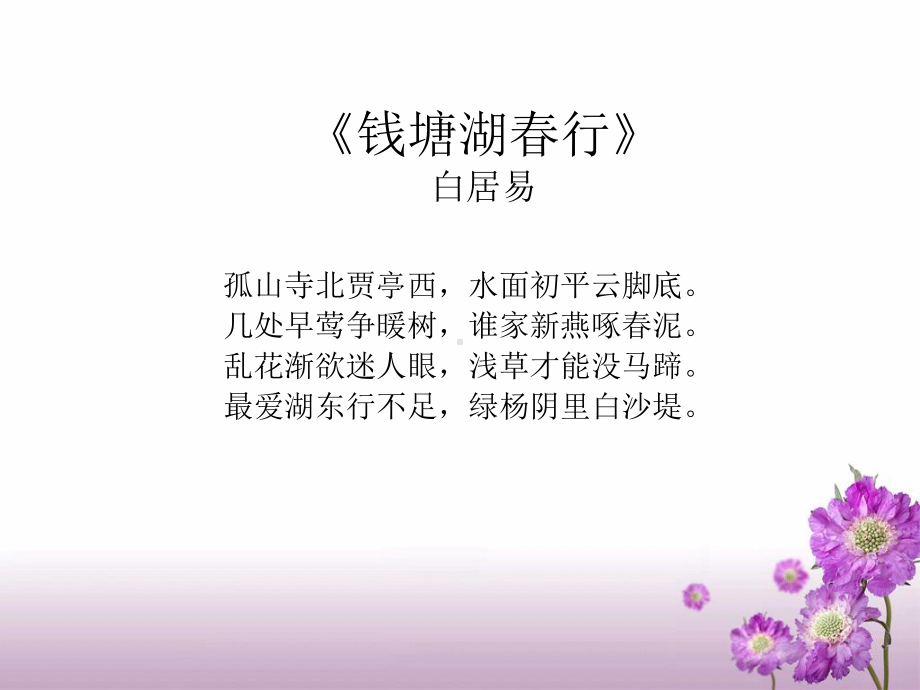 215鸟类的生殖与发育课件9(苏教版八年级下册).ppt_第2页