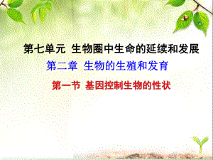 初中生物八年级下册《21第一节 基因控制生物的性状》优质课件(两套).ppt