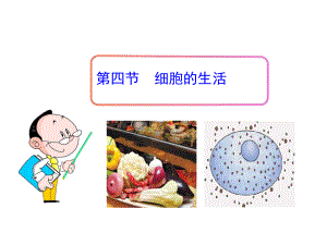 《细胞的生活》课件1.ppt